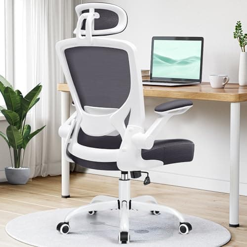 KERDOM Modern Ergonomic Office Chair, Lumbar Support with Headrest, Flip-up Arms, Breathable Mesh, Adjustable Height, Darkgray