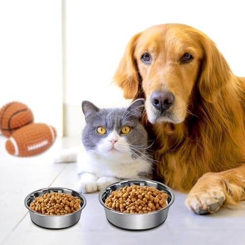 Grehge Steel Anti-Slip Dog Bowls,Non-Slip Stainless Steel Pet Bowl with Foot Mat - Perfect for Mess-Free Mealtime,Quiet Pet Bowls for Cats and Dogs, Dry and Wet Foods,(5.5 inches, 1PCS) 6