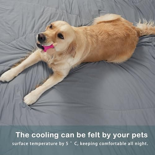 ACCURATEX Cooling Comforter Queen/Full Size, Q-max>0.45 Arc-Chill Cooling Blanket for Hot Sleepers, Lightweight Cool Blankets for Night Sweats, Silky Breathable Summer Cool Comforter,Grey(90"x90") 5