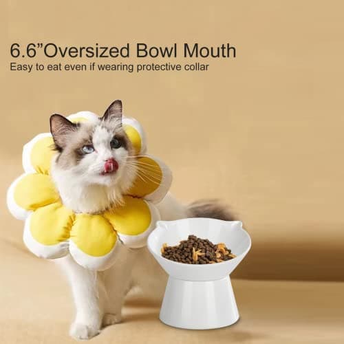 Detachable Elevated Cat Bowls, 15° Tilted Raised Cat Food Bowl Anti-Vomiting, Whisker Friendly, Adjustable Pet cat Dishes for Protecting Spine, Adult Kitten (White) 8