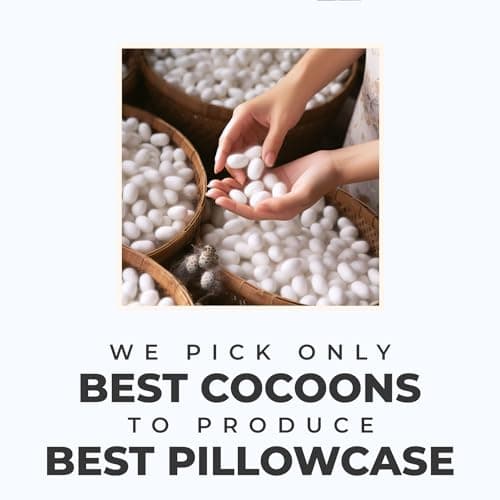 LOOMBERRY 100% Pure Mulberry Silk Pillowcase for Hair and Skin, 6A Grade 22 Momme Silk Pillow Cases with Zipper, Soft Cooling Washable Both Sided Silk Pillow Cover (Silver Grey, Standard 20''x26’’) 6