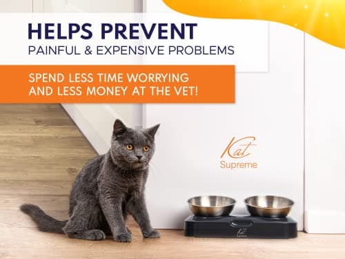Cat Food Bowl - KATSUPREME Cat Bowls for Indoor Cats | Set of 2 Stainless Steel Bowl, Tilted Bowls Elevated Anti Vomiting, Non-Slip Base, Ant Proof Food & Water. 8
