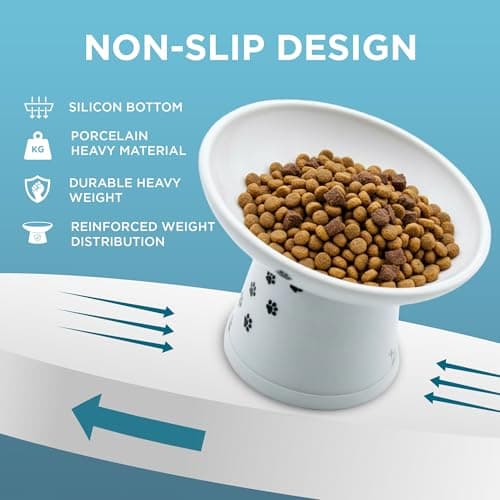 Necoichi Raised Cat Food Bowl – Ceramic Elevated 15° Tilted Cat Bowl for Whisker & Neck Fatigue, Dishwasher Microwave Safe Non-Slip Anti Vomiting Ergonomic Design (Extra Wide Tilted, 1.5-Cup Capacity) 8