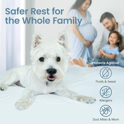 SafeRest Waterproof Queen Size Mattress Protector - Fitted with Stretchable Pockets - Machine Washable Cotton Blend Mattress Cover for Bed 5