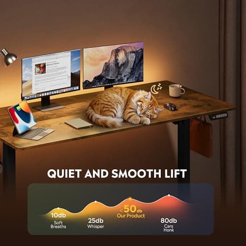 DEVAISE 55 x 28 Inches Electric Standing Desk, Adjustable Height Stand up Desk, 28" Deeper Desktop Sit to Stand Desk with 3 Memory Preset, Adjustable Computer Desk for Home Office (Rustic Brown) 5