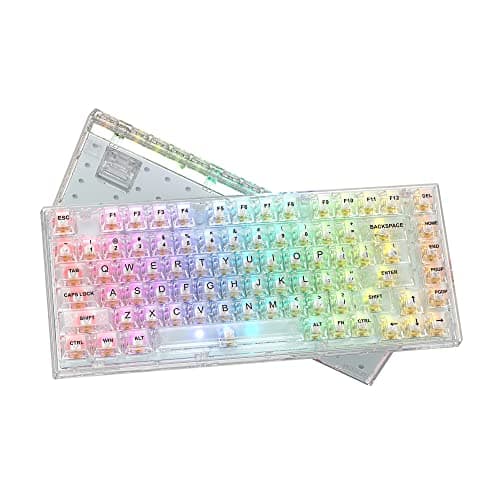 Womier 75% Percent Keyboard, Gasket Mount Mechanical Gaming Keyboard, 82 Keys Wired Custom Key Board RGB Clear Hot Swappable Pre-lubed Switch for Mac/Win (K75 White)