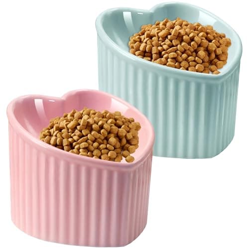 SUNQEBO Elevated Cat Bowls, Raised Cat Bowl for Indoor Cats, Cute Heart Ceramic Tilted Puppy Food Set Supplies Whisker Friendly Anti Vomit, 2 Pack Pink+ Light Green