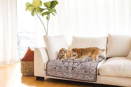 Lovewag Cat Litter Mat 2 Pack - Large 36x48 Machine Washable Easy Clean Non-Slip Waterproof Trapping Mats for Cats - (Marmalade Sunshine) 12