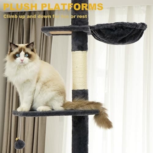 NEGTTE Cat Tree Floor to Ceiling Cat Tower with Adjustable Height, Cat Climbing Activity Center with Cozy Condo& Hammock, Platforms and Dangling Balls for Indoor Cats (Dark Gray,007) 5