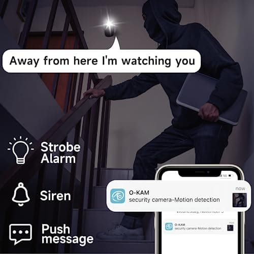 Rraycom Solar Camera Security Outdoor, Solar Powered WiFi System Surveillance Camera with 2K Color Night Vision, 2 Way Talk, Spotlight & Siren, Compatible with Alexa, BW4PLUS-SP, BW4P-SP-W-4PC 4