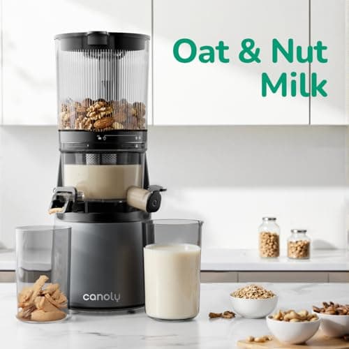 Canoly C16 Cold Press Juicer, 6" Extra Wide Feed Chute, 3-IN-1 Strainers (Juice & Sorbet & Nut Milk), Powerful AC Brushless Motor, Self Precut System, Juicer Machines with BPA-Free (Space Gray) 8
