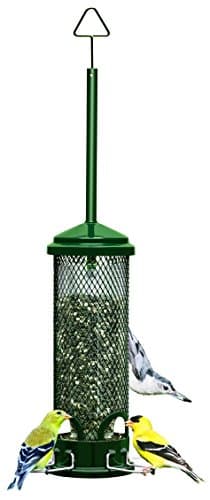Squirrel Buster Mini Squirrel-Proof Bird Feeder for Wild Birds – 4 Metal Perches, 1 lb Seed Capacity, Chew-Proof Design, Lifetime Care, Garden Green