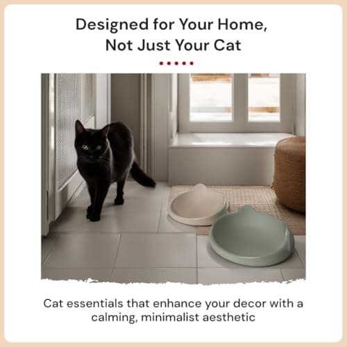7 Ruby Road Anti Whisker Fatigue Cat Bowl, Set of 2 - Wide Food Bowls, Wet and Dry Shallow Food Dish, Small Cat Dishes for Indoor Cats, Cute Kitten Bowls Whisker Friendly & Relief, Non-Slip Plates 6