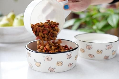 Pearhead Ceramic Cat Bowl, Holds 12 oz, Whisker-Friendly Pet Dish for Food and Water, Cute Cat Face Design 6