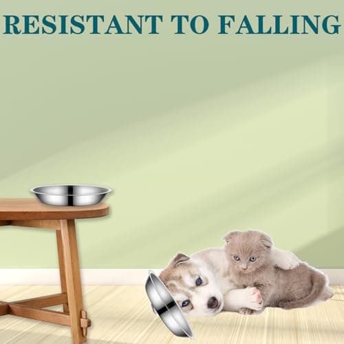 4Packs Cat-Bowls Cat Food Bowl - 6.1 Inch Stainless Steel Cats Feed Bowl for Indoor Cats Shallow and Wide Wet Food Plate Pet Feeding Whisker Fatigue Relief Pet Plate for Kitten Puppy (Type-B) 7