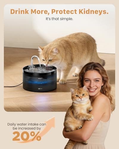 Cat Water Fountain: Dog Bowl Fountains - Automatic Pet Dispenser - Dogs Drinking Waterer Bowls Indoor - Auto Watering Dish Supplies - Easy Cleaning Animal Machine - Quiet 67oz/2L Kitty Drink Fountain 6