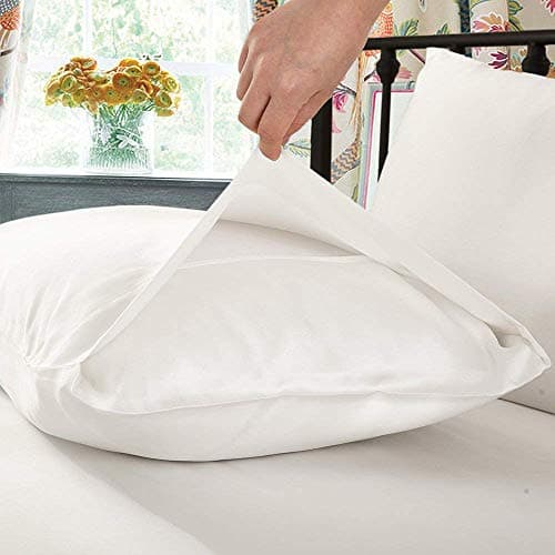 LILYSILK Silk Pillowcase 19 Momme 100 Mulberry Silk for Hair Charmeuse 2pcs Ivory Standard 20x26 Inch 8