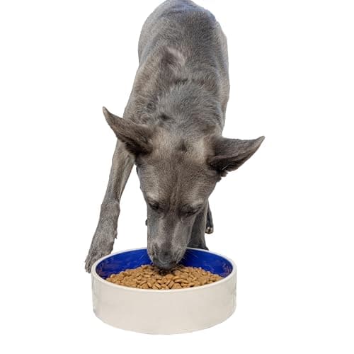SPOT Standard Crock Dish - Heavy Duty, Non-Slip, Round Ceramic Food/Water Bowl for Pets, Ideal for Medium to Large Dogs or Multiple Animals, Dishwasher Safe - 9.5 in, 8 Cups, (64 Oz)