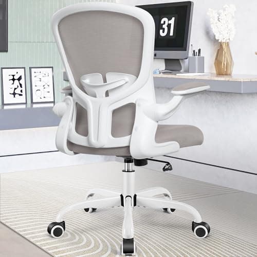 FelixKing Office Chair, Ergonomic Desk Chairs with Wheels Home Mesh Chair Adjustable Lumbar Support and Height, Ergo Chair for Working Gaming Use (Gray)