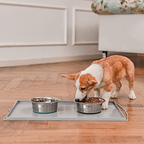 PEGGY11 Deep Stainless Steel Anti-Slip Dog Bowls - 2-Pack, 3 Cups 7