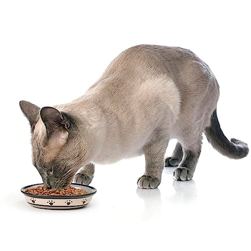 PetRageous 44247 Oval Metro Paws Stoneware Cat Bowl 6.25-Inch Wide and 1.5-Inch Tall Saucer with 1-Cup Capacity and Dishwasher and Microwave Safe for Small Dogs and Cats, Multicolored,Black 5
