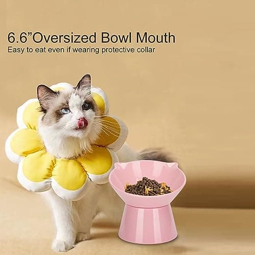 Detachable Elevated Cat Bowls, 15° Tilted Raised Cat Food Bowl Anti-Vomiting,Whisker Friendly, Adjustable Pet Dishes Extra Wide for Protecting Spine, Adult Kitten (Pink 8