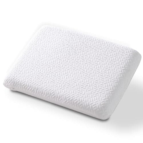 bigpawl Ultra Thin, Flat Pillow for Sleeping 2.75 Inch Height, Thin Memory Foam Pillow for Stomach Sleeper, Slim Bed Pillow for Side and Back Sleepers, Standard Size