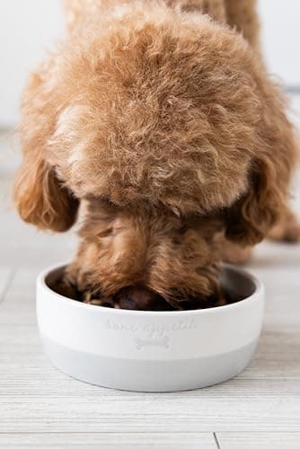 Pearhead Ceramic Bone Appétit Dog Bowl, Stoneware Food and Water Dish, Grey and White Pet Feeder, Small/Medium 2.25 Cups/ 18 oz 8