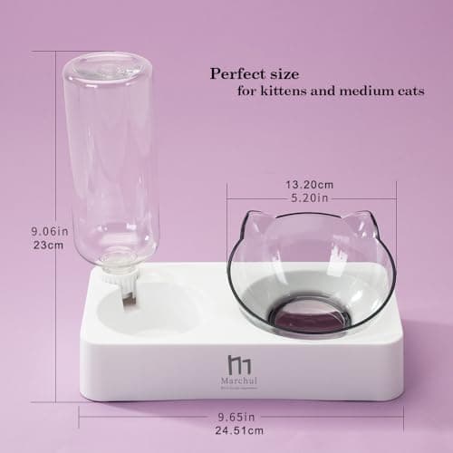 Marchul Double Elevated Dog Cat Bowl, Pets Water and Food Bowl Set, 15° Raised Tilted Dishes Indoor for Kitten, Puppies, Small or Medium Size Dogs Cats 6