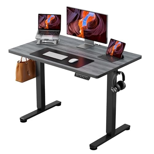 ErGear Height Adjustable Electric Standing Desk, 44 x 24 Inches Sit Stand up Desk, Memory Computer Home Office Desk, Grey