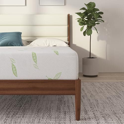 NapQueen Twin Size, 6 Inch Anula Green Tea Infused Memory Foam Mattress, Bed in a Box, CertiPUR-US Certified 12