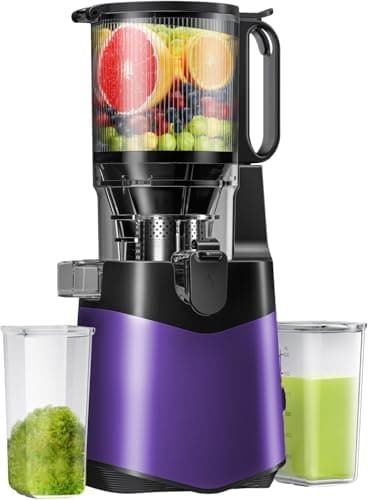 Masticating Juicer, 5.3" Feeding Chute,For Whole Fruits & Vegetables, Easy to Clean
