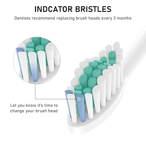 Toothbrush Heads, 8 Pack Electric Toothbrush Replacement Heads for Philips Sonicare Soft Dupont Bristles Replacement Toothbrush Heads for Oral Care 5