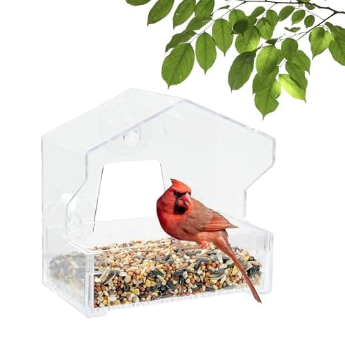 Perky-Pet Clear Outdoor Window Bird Feeder with Strong Suction Cups – 1/2 Lb Seed Capacity - Perky Pet 345 - Entertaining Bird Feeding - Watch Birds Eat Seeds