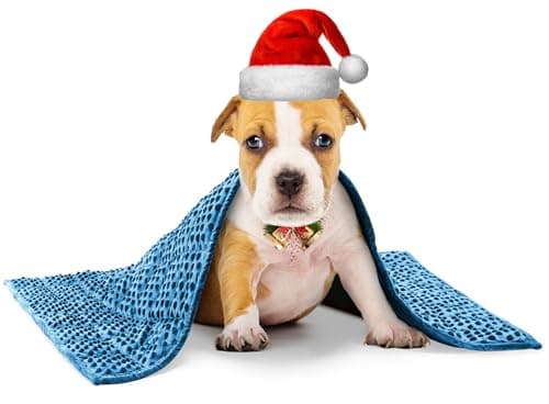 YUSRA Small Weighted Blanket for Dogs, Weighted Dog Blanket Especially for Thunderstorms, Fireworks, Separation, Travel, Bed and Couch, Machine Washable, Soft Dog Blanket (Blue 19 * 22inch 3lbs)