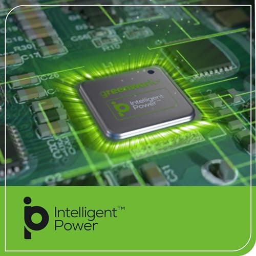 Greenworks 24V Brushless Cordless Drill Kit, 310 in./lbs, 18+1 Position Clutch, 1/2 '' Keyless Chuck, Variable Speed, Battery With 2A Charger, LED Light 10