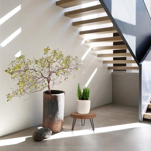 Plant Stand Indoor Outdoor, Wooden plant Stool, Mid Century Plant Stand for Indoor Plants, Wood Modern Plant Holder Rattan Flower, Low Short Boho Rustic Planter Stand Fit 5-15 Inch Pot(M) 5