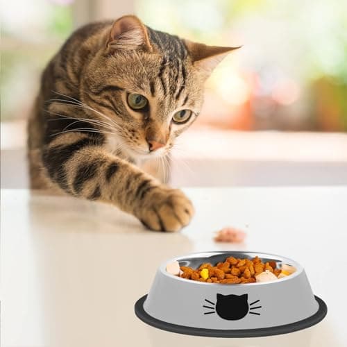 Serentive 2 Pcs Non-Slip Stainless Steel Small Cat Food Bowls - Unbreakable, Thicken 7 Oz Cat Dishes - Indoor, Removable Rubber Base, Easily Clean, Lovely Color 6