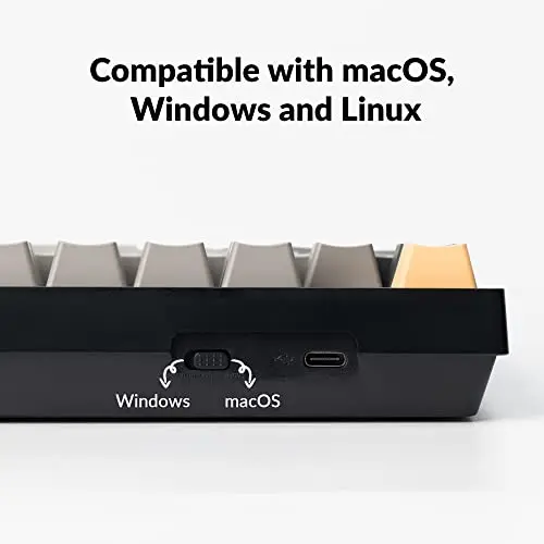 Keychron C2 Pro Wired Custom Mechanical Keyboard Full Size Layout QMK/VIA Programmable Macro White Backlit with Tactile Brown Switch OEM Profile Double-Shot PBT Keycaps for Mac Windows Linux 5