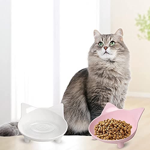 Skrtuan Non-Slip Cat & Dog Food Bowl – Wide, Shallow Pet Dish for Whisker Fatigue Relief, Safe for Puppies & Rabbits 6
