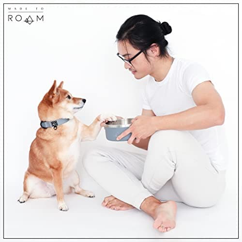 MADE TO ROAM Premium Everest Bowl - Stainless Steel Double-Walled Vacuum-Insulated Dog Bowl with Non-Slip Grip (New York Afterlight, 32oz) 5