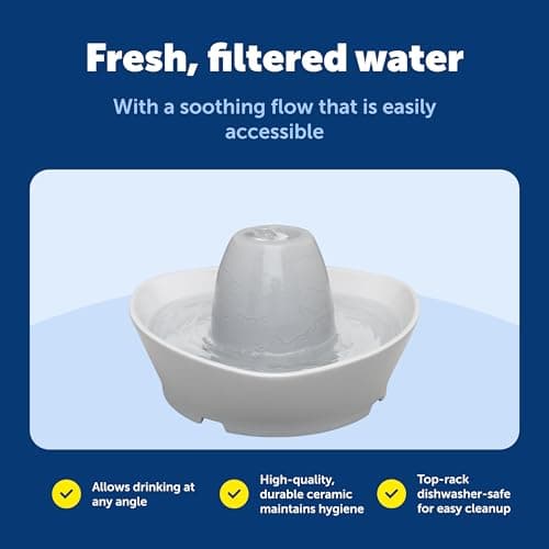 PetSafe Ceramic Pet Fountain – for Cats and Small Dogs – 60 Oz Water Capacity – Whisper-Quiet Water Flow – Great for Shy or Timid Pets – Fresh, Filtered Water 6