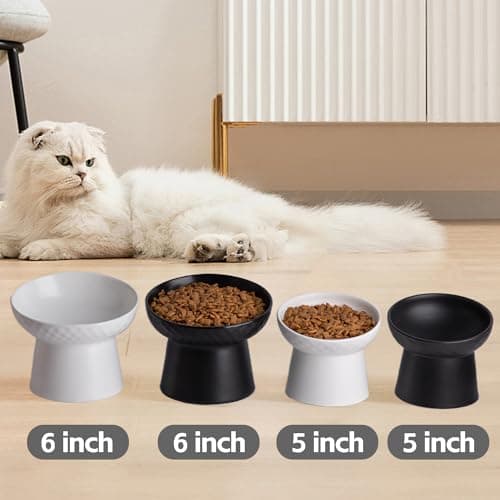 KITCHENLESTAR Small Ceramic Raised Cat Bowls, Tilted Elevated Food or Water Bowls, Stress Free, Backflow Prevention, Dishwasher and Microwave Safe, Lead & Cadmium Free(Black) 6
