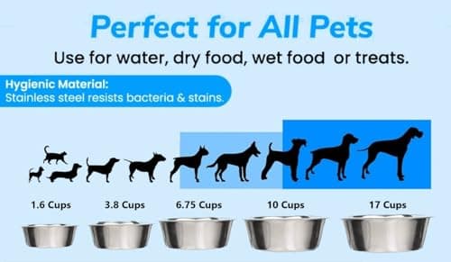Greendale - 4 Pack - 6.75 Cup Capacity - Stainless Steel Metal Dog Bowls - Perfect for Dog Food and Water. Wrong Size? Click to Look at Our Size Options. 5