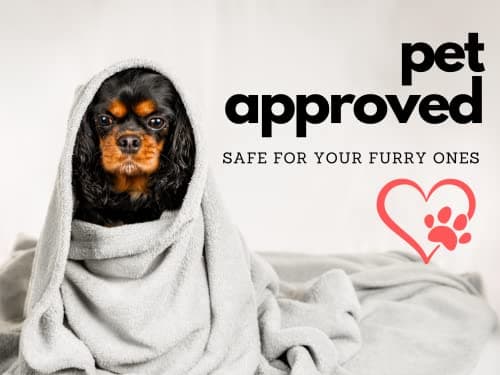 SoftHeat by Perfect Fit | Luxury Micro-Fleece Low-Voltage Electric Heated Blanket (Full, Natural) (LVBF-H2-030) 5