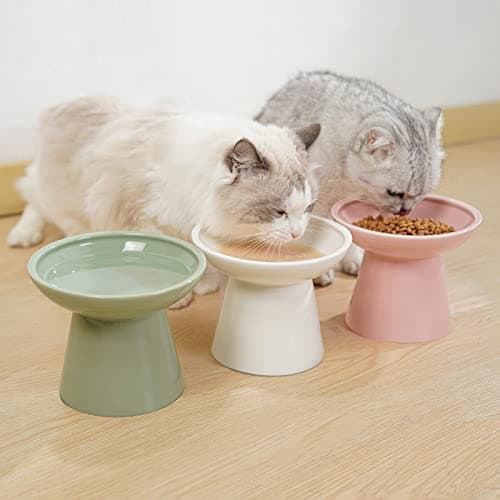 CEEFU Extra Wide Elevated Ceramic Cat Bowl - 6.2" Shallow Dish for Whisker Fatigue Relief, 5" Height for Easy Feeding, Lead & Cadmium Free, Durable Raised Cat Food Bowls, White 8