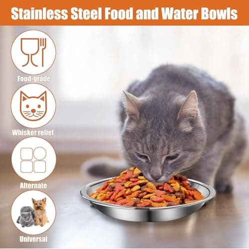 6 Pcs Stainless Steel Cat Bowls Shallow Wide Food Bowls for Cats Replacement Whisker Fatigue Relief for Small Dogs and Cats Indoors (Silver) 7