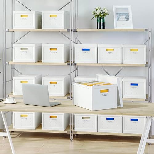 Seseno File Organizer File Box with Lid, Universal Hanging File Organizer, Letter/Legal Size File Folder Box, 2 Pack Plastic Office Document Filing Storage Bin 9