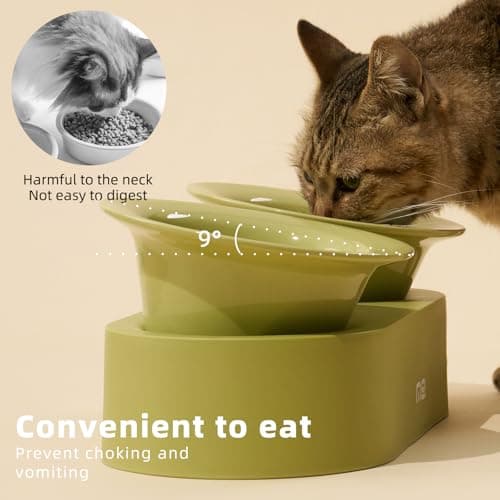 MS!MAKE SURE Raised Cat Bowls Set - Ceramic Dishes with Non-Slip Stand, 9° Tilted, Lead & Cadmium Free, for Small Dogs and Cats, 6.5" Wide - 2 x 320ML (10.8 oz), Green 5