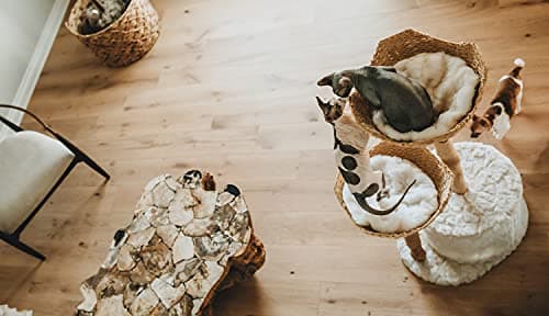 Modern Cat Tree Tower, Real Branch luxury Cat Condo, Wood Cat Tower, Cat Scratching Tree, Cat Condo, Cat Lover Gift, Luxury Cat, Cat Gifts by Mau Lifestyle 8